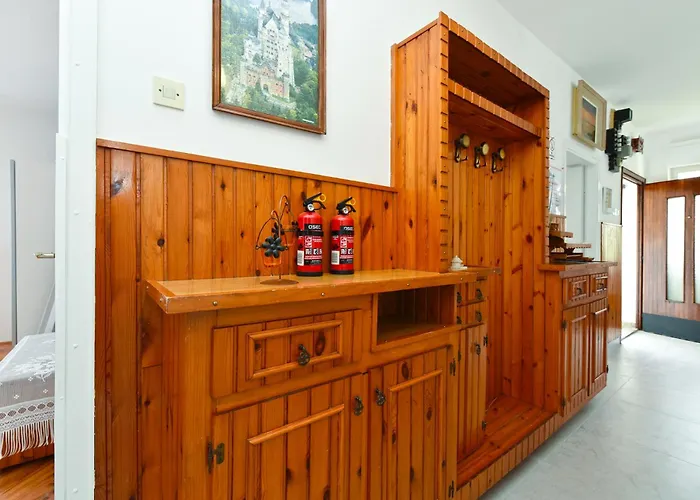 Apartment Davor 2330